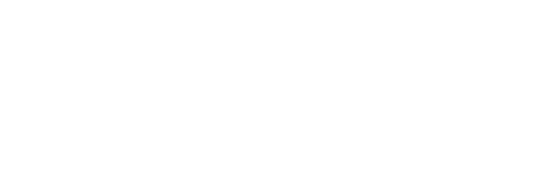 berryhill-window-cleaning-murfreesboro-tn-logo-condensed-white